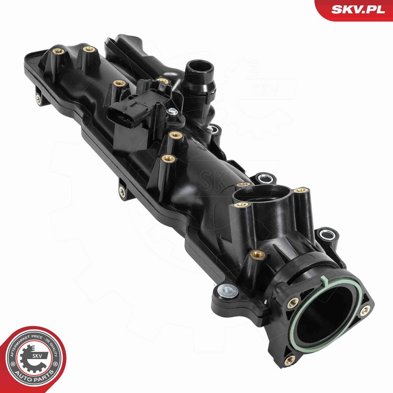 ESEN SKV 49SKV101 Intake Manifold Module