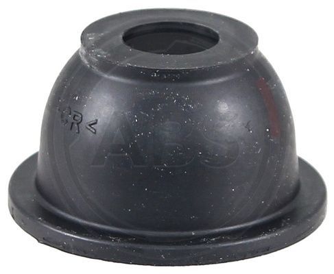 279020.JPG