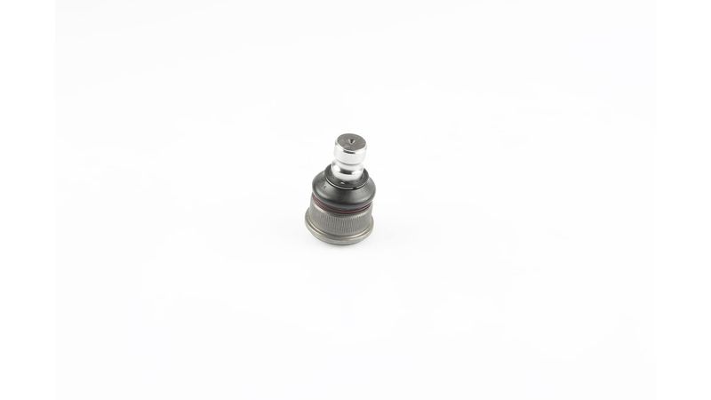 SKF VKDS 316006 Šarnyras / girgždukas