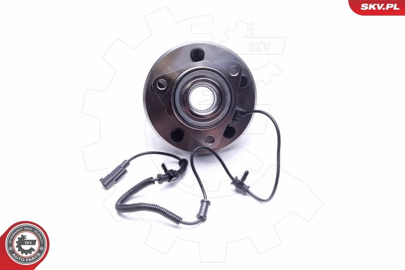 ESEN SKV 29SKV308 Wheel Bearing Kit