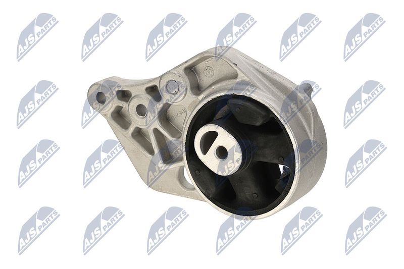 Paigutus, Mootor, NTY ZPS-CH-113