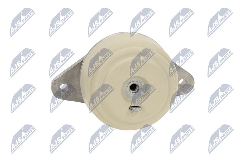 Paigutus, Mootor, NTY ZPS-ME-076