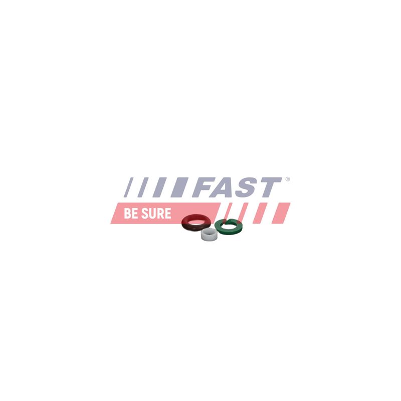 FAST FT01835 Repair Kit, unit injector