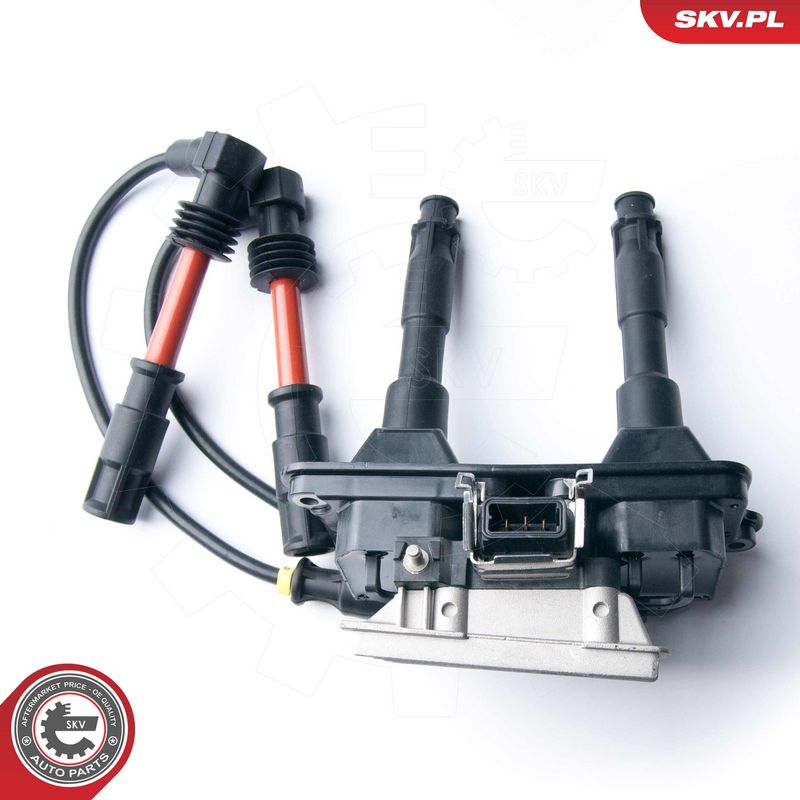 Süütepool, ESEN SKV 03SKV218