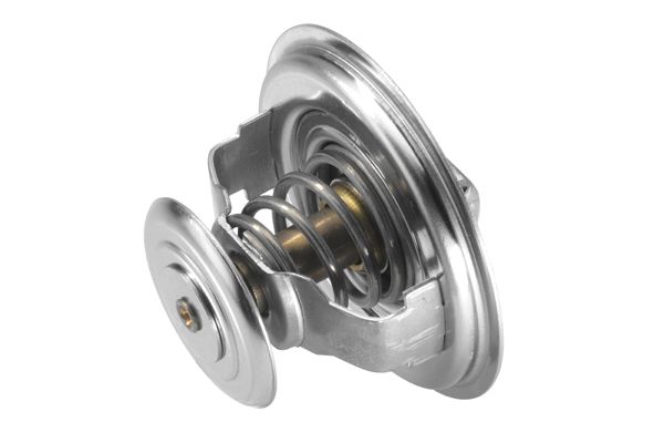 BorgWarner (Wahler) 4529.70 Thermostat, coolant