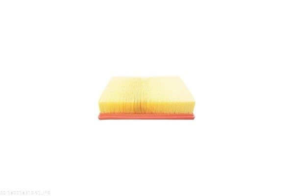 AUTOMEGA 180018310 Air Filter