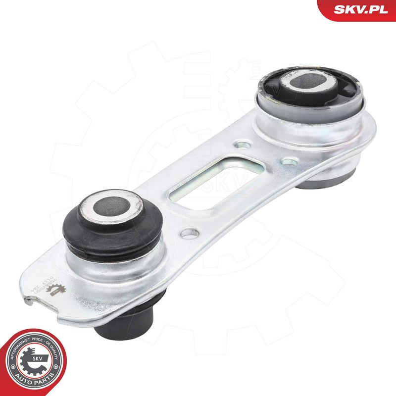 Paigutus, Mootor, ESEN SKV...