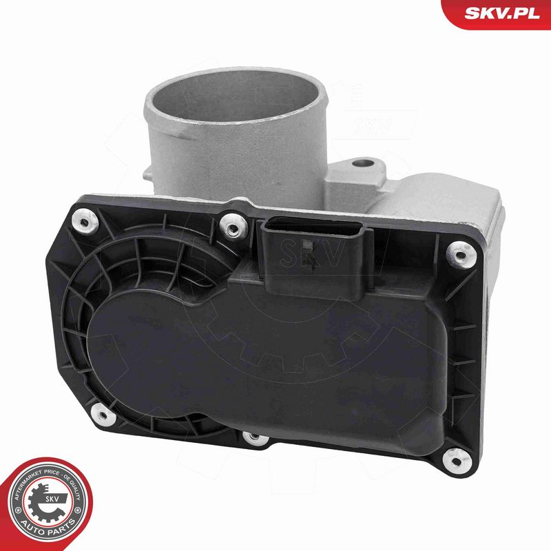 ESEN SKV 12SKV171 Throttle Body