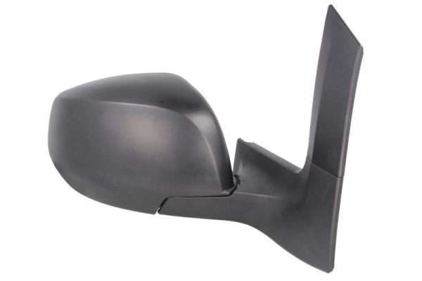 BLIC 5402-04-2001966P Exterior Mirror