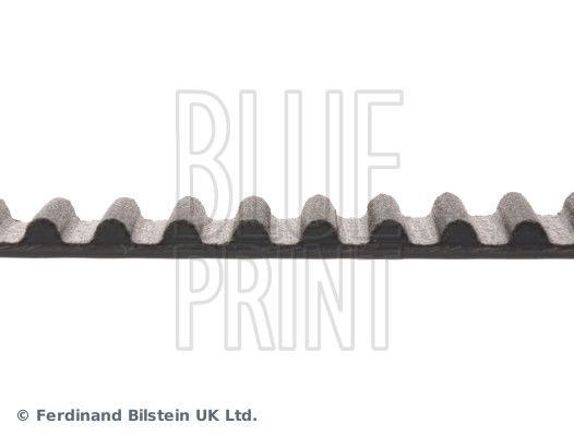 BLUE PRINT ADN17525 Timing Belt