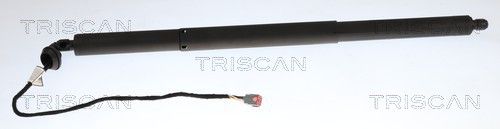 Gasfjeder, kuffert-/lastrum