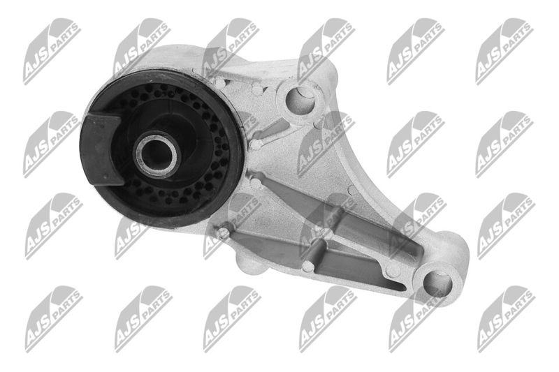 Paigutus, Mootor, NTY ZPS-PL-069