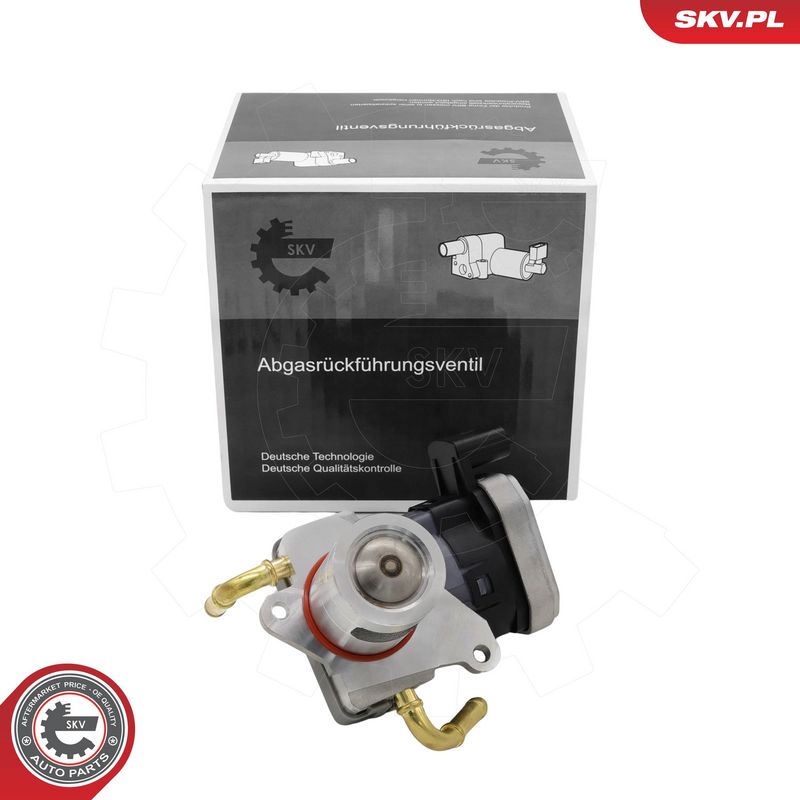 EGR-klapp, ESEN SKV 14SKV303