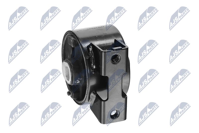 Paigutus, Mootor, NTY ZPS-CH-047