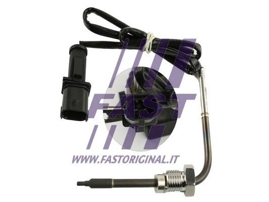 FT80202_1_1.JPG