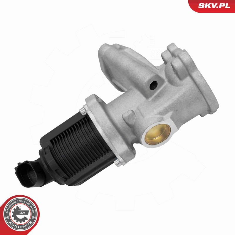 ESEN SKV 14SKV314 EGR Valve
