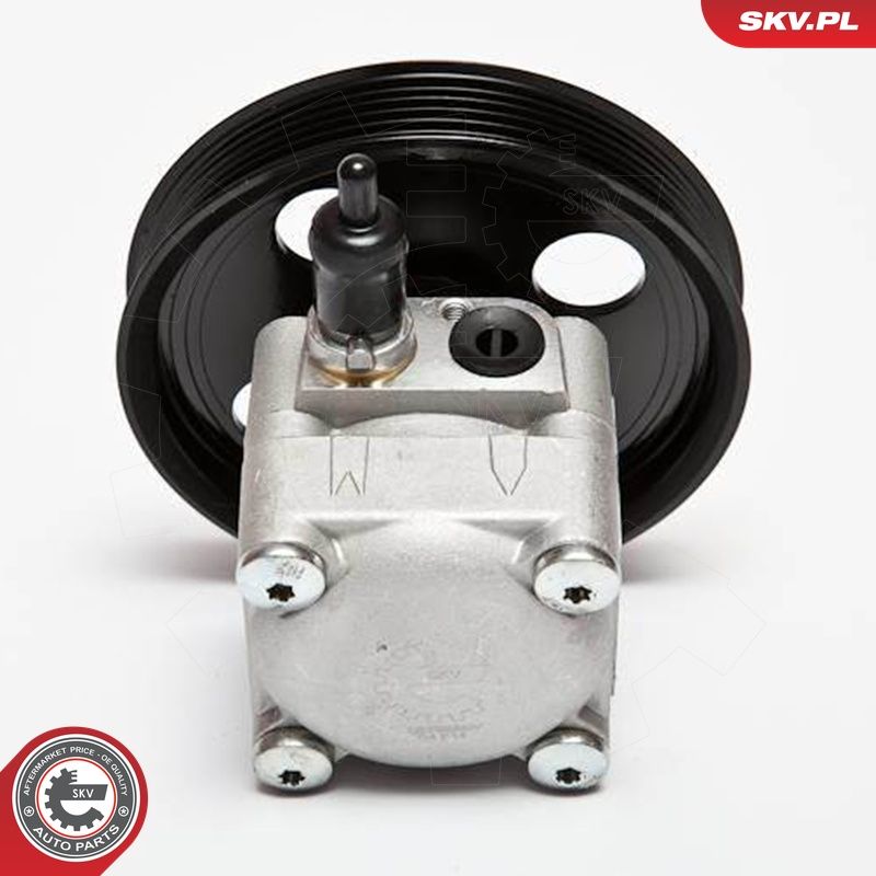 Hüdraulikapump, roolimine, ESEN SKV 10SKV074