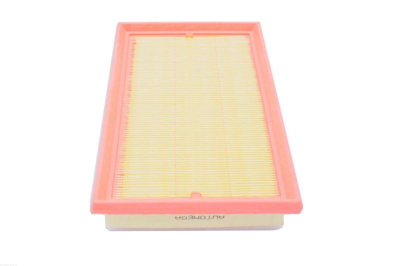AUTOMEGA 250053710 Air Filter