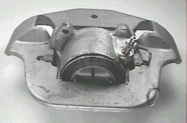 523591.JPG