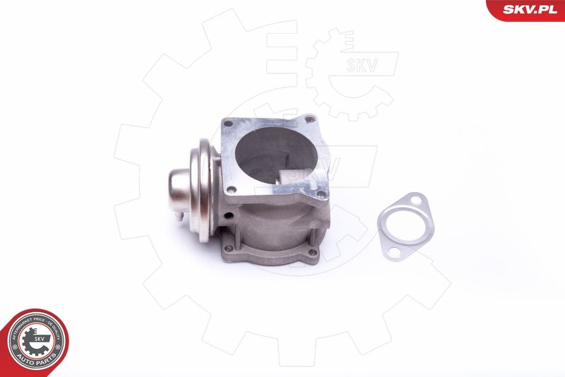 ESEN SKV 14SKV108 EGR Valve