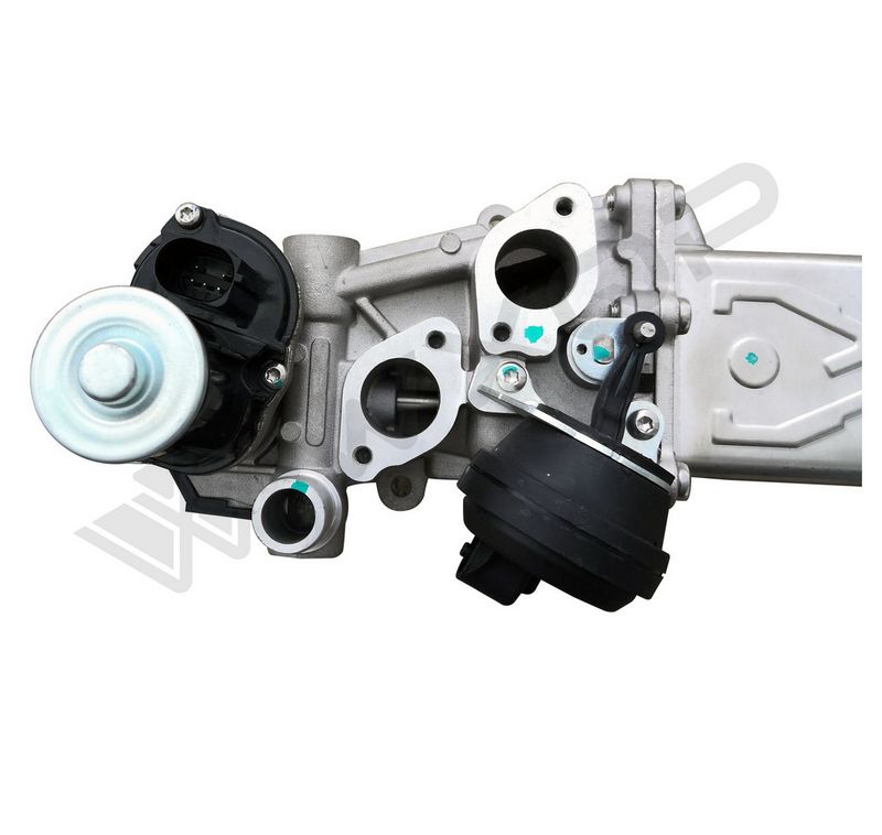 WXQP 381691 EGR Module