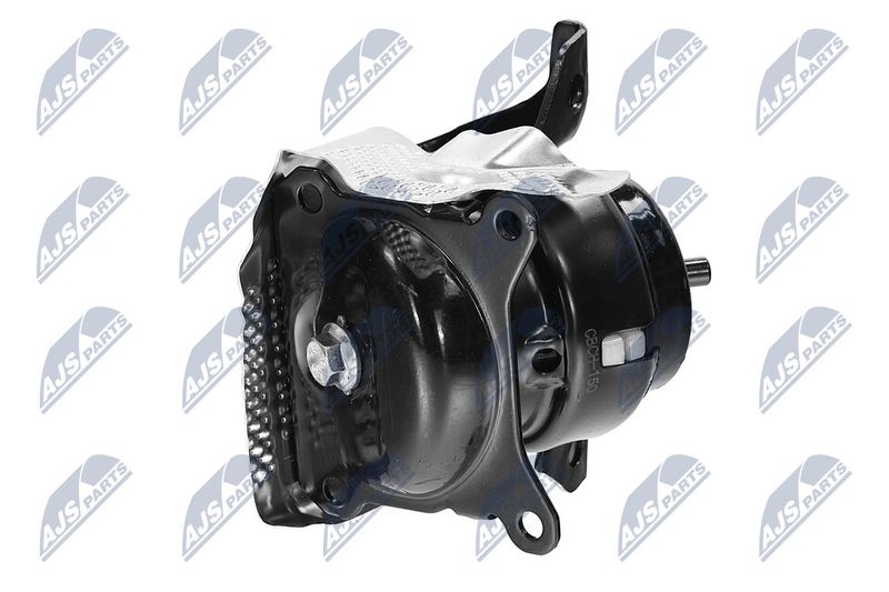 Paigutus, Mootor, NTY ZPS-CH-150