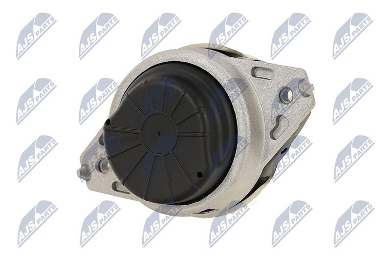 Paigutus, Mootor, NTY ZPS-ME-077