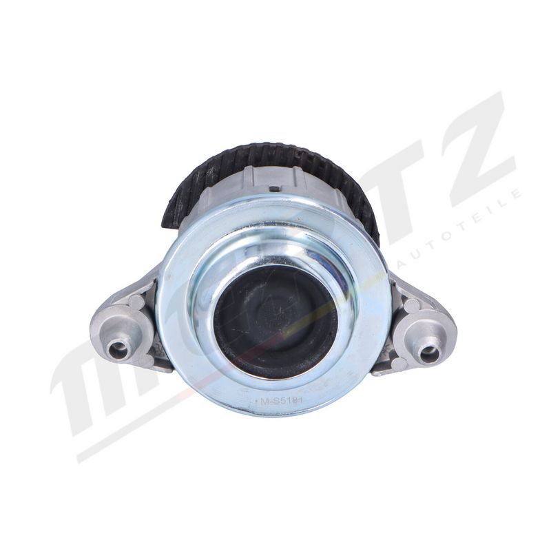 MERTZ M-S5181 Mounting, engine