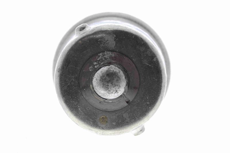 VEMO V99-84-0004 Bulb, direction indicator