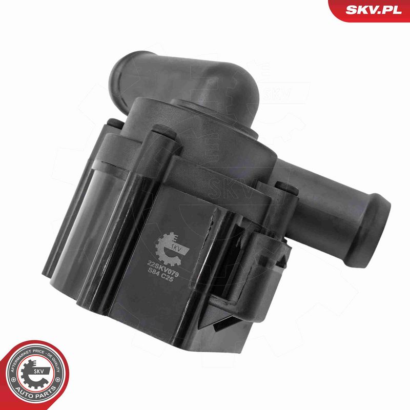 ESEN SKV 22SKV079 Auxiliary Water Pump (cooling water circuit)