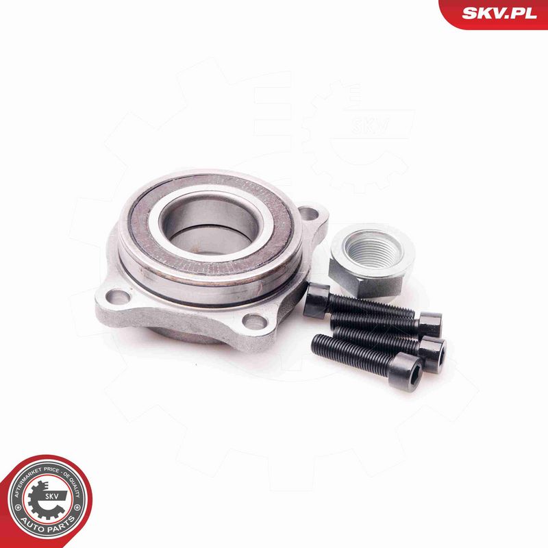 ESEN SKV 29SKV077 Wheel Bearing Kit
