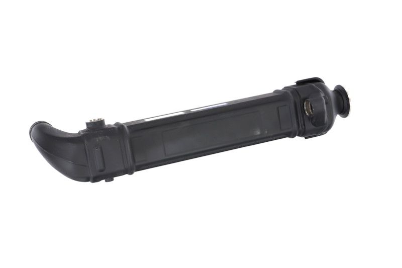 REMANTE 010-001-000025R EGR Module
