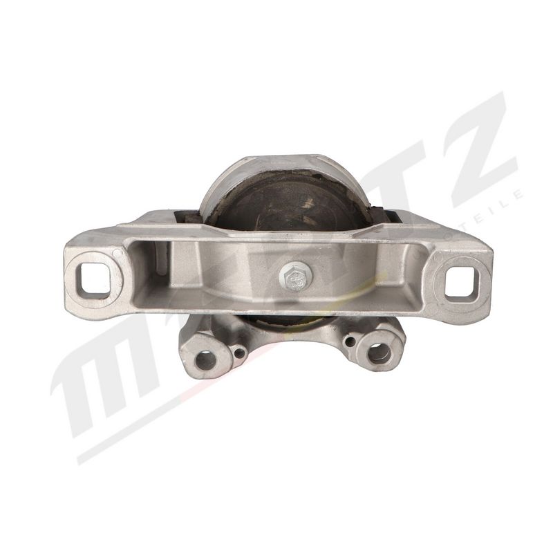 MERTZ M-S4859 Mounting, engine