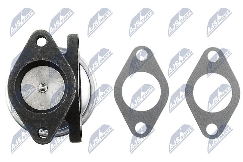 NTY EGR-RE-002 EGR Valve