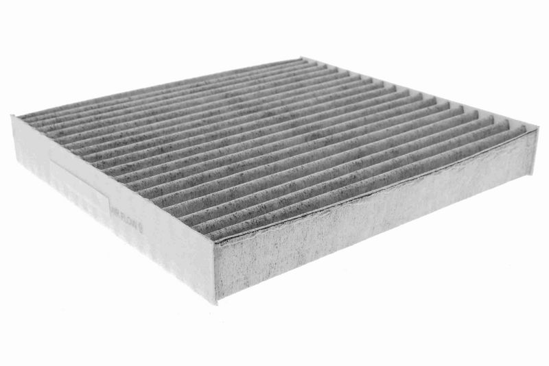 ACKOJA A70-31-0003 - Salono filtras