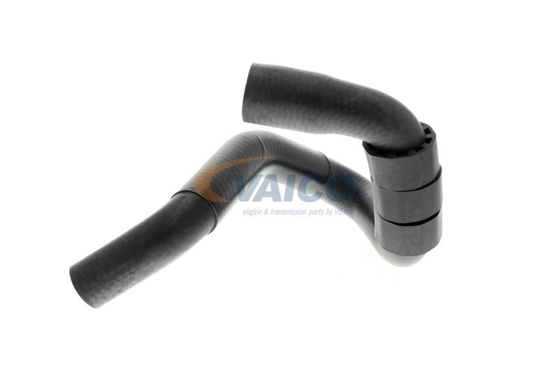 VAICO V10-4664 Talosa Radiator Hose