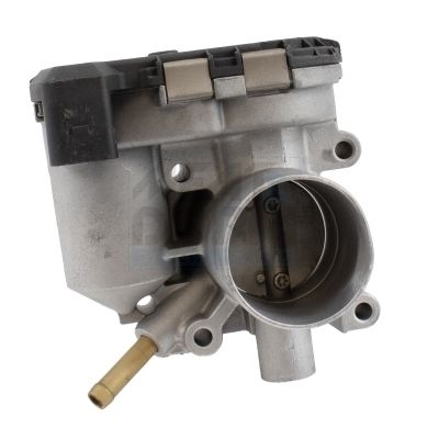 89244R.JPG