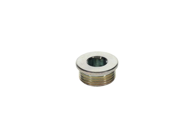 Surub 1 423 462 099 BOSCH