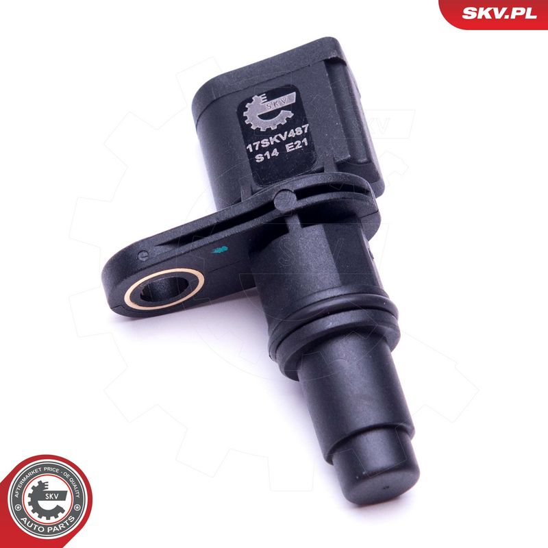 Andur, Nukkvõllipositsioon, ESEN SKV 17SKV487