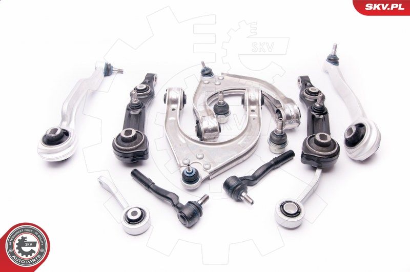 ESEN SKV 04SKV300 Repair Kit, control arm