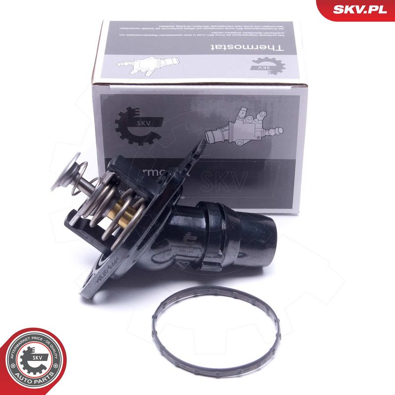 Termostaat, Jahutusvedelik, ESEN SKV 20SKV195