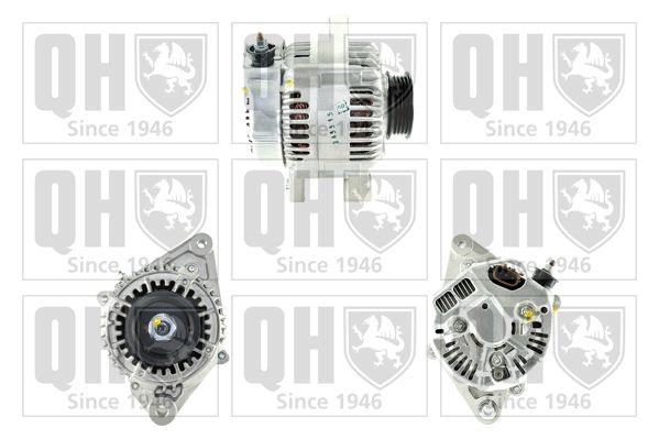 QH_QRA2889_GRUPPE.JPG