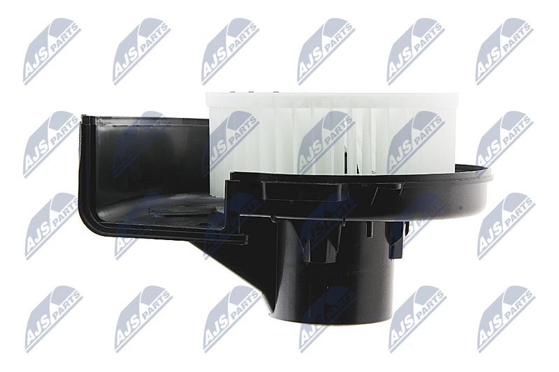 ewn-vw-005_3-wm.JPG