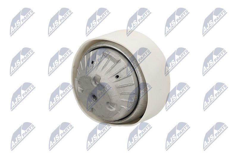 Paigutus, Mootor, NTY ZPS-ME-103