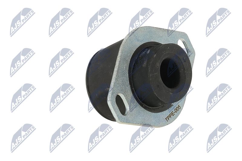 Paigutus, Mootor, NTY ZPS-PE-005