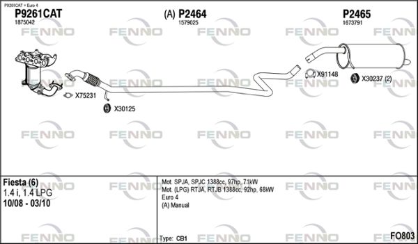 FO803.JPG