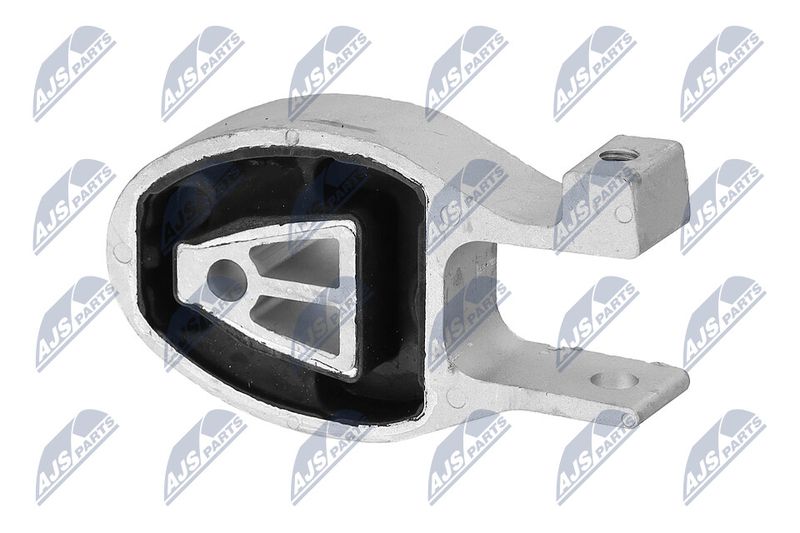 Paigutus, Mootor, NTY ZPS-FR-038