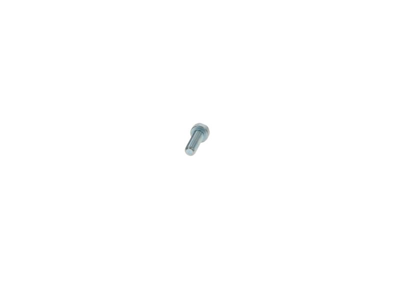 BOSCH 2912731201 Screw