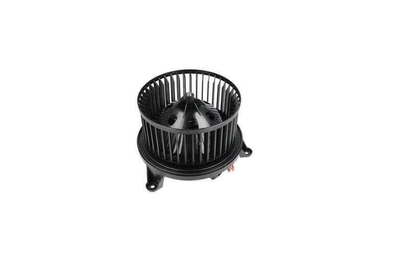 Salongipuhur, NRF 34314