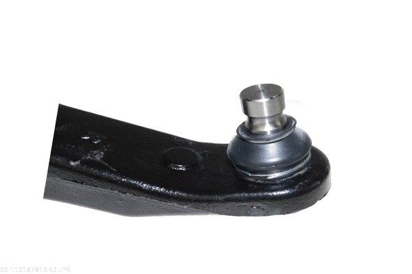 AUTOMEGA 110187810 Control/Trailing Arm, wheel suspension